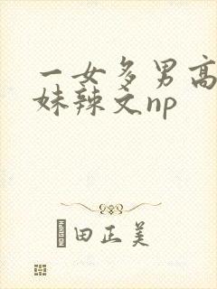 一女多男高h兄妹辣文np封面