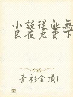 小说从此无心爱良夜免费下载封面