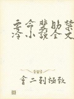要命裴助禁欲高冷小说全文免费阅读
