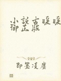 小说古暖暖江尘御正版