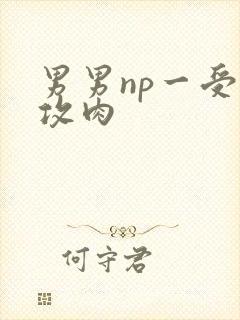 男男np一受多攻肉