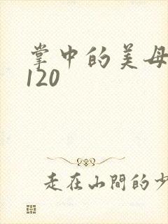 掌中的美母版主120封面