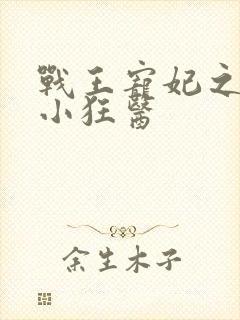 战王宠妃之倾世小狂医