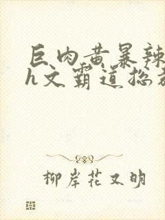 巨肉黄暴辣文高h文霸道总裁