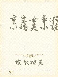 重生女尊:独宠小娇夫小说封面