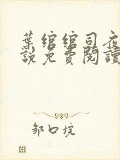 叶绾绾司夜寒小说免费阅读