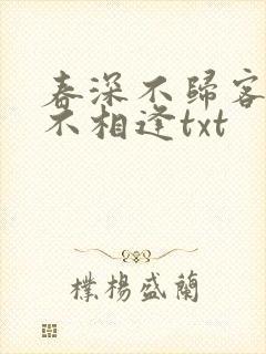 春深不归客清梦不相逢txt
