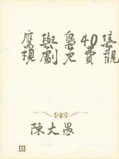 鹰与枭40集电视剧免费观看