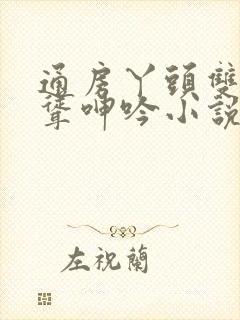 通房丫头双乳高耸呻吟小说