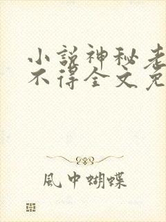 小说神秘老公惹不得全文免费阅读封面