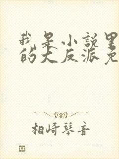 我是小说里共同的大反派免费阅读