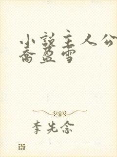 小说主人公沈荡乔盈雪