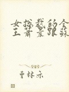 女总裁的全能兵王萧晨跟苏晴封面