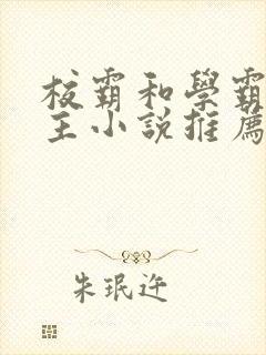 校霸和学霸双男主小说推荐