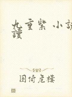 九重紫 小说阅读