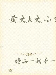 黄文h文小说