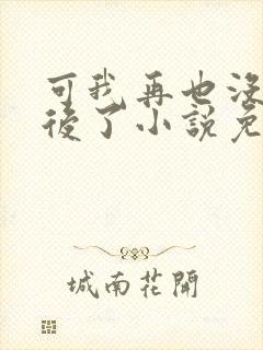 可我再也没有以后了小说免费阅读