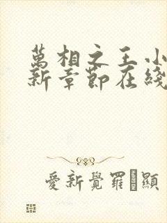 万相之王小说最新章节在线
