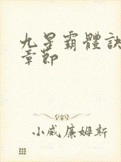 九星霸体诀完整章节封面