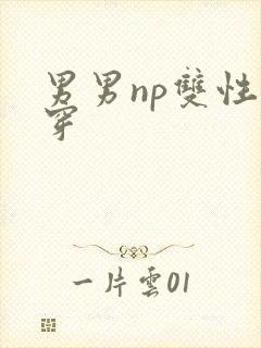 男男np双性快穿