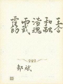 霍雨浩和王冬儿的武魂融合技