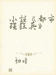 小说《都市之最强狂兵》