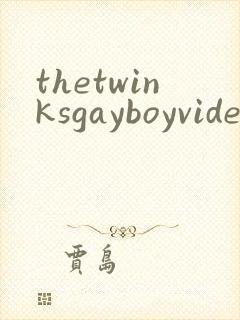 thetwinksgayboyvideo