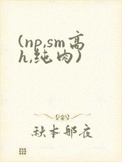 (np,sm高h,纯肉)