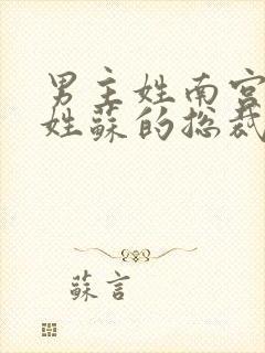 男主姓南宫女主姓苏的总裁小说
