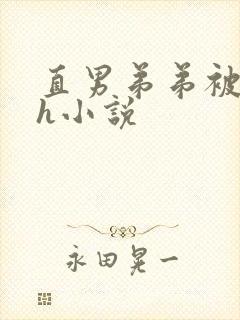 直男弟弟被哥哥h小说
