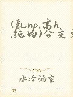 (乱np,高h,纯肉)公交车
