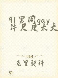 91男同gay片尺度太大封面