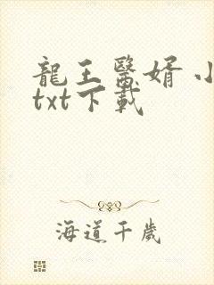 龙王医婿 小说txt下载
