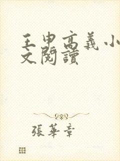 王申高义小说全文阅读