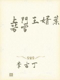 上门王婿叶凡唐若雪