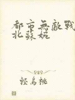 都市无敌战神林北苏婉