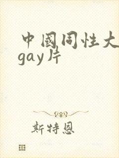 中国同性大尺度gay片