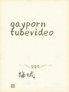 gayporntubevideo