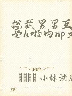 总裁男男互攻互受h啪肉np文封面