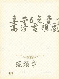 妻子6免费完整高清电视剧