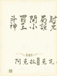 斗罗开局肘击唐神王小说免费阅读封面