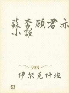 苏杳顾君亦阅读小说封面