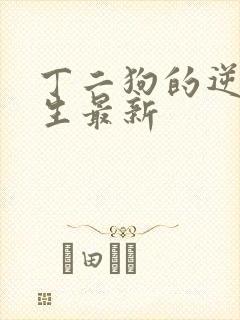 丁二狗的逆袭人生最新