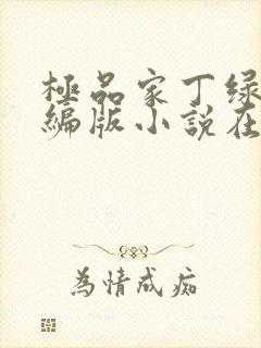 极品家丁绿帽改编版小说在哪里看