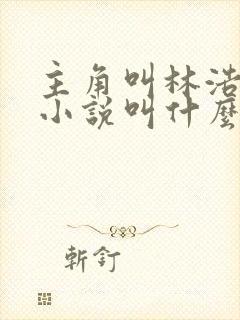 主角叫林浩然的小说叫什么