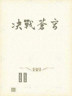 决战苍穹封面