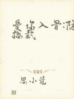 爱你入骨:隐婚总裁封面