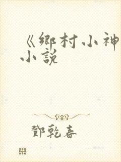 《乡村小神农》小说