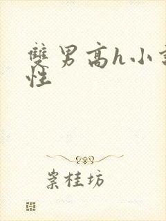 双男高h小说双性