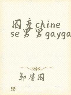 国产chinese男男gaygay在线播放网站